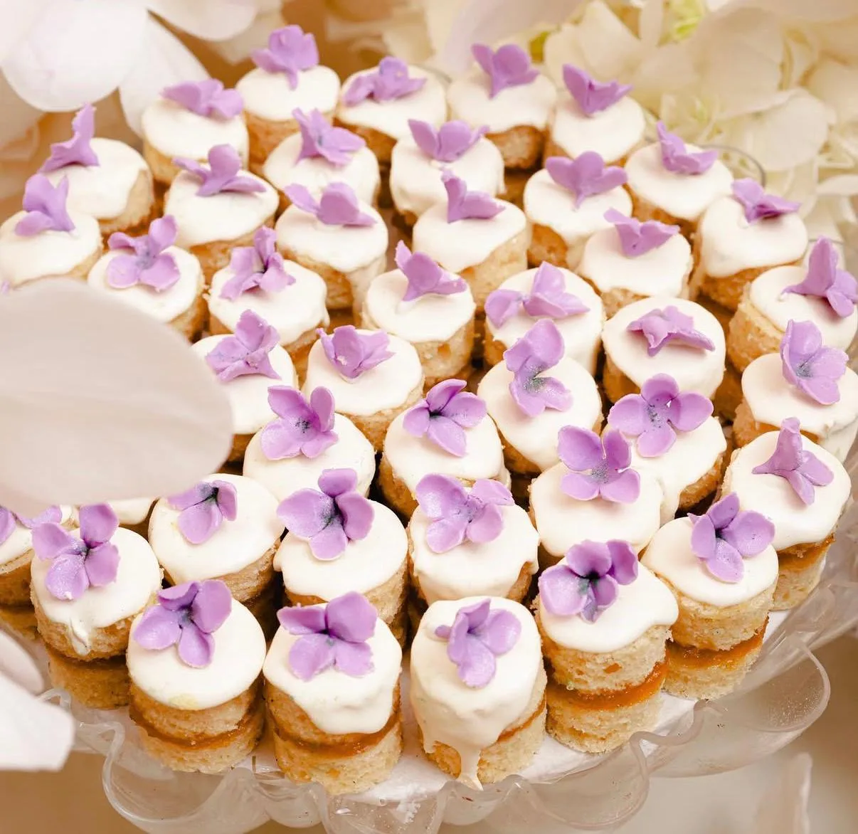 Mini apricot cake