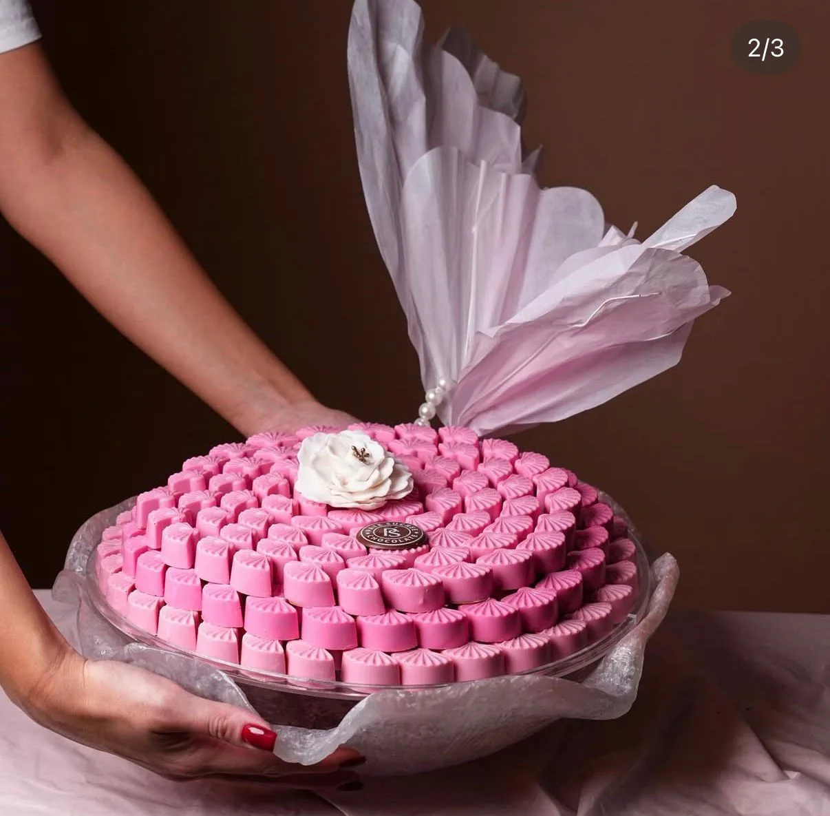 trays with butterfly